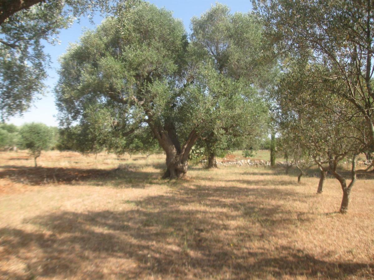 Fenicepugliese San Vito dei Normanni Exteriör bild