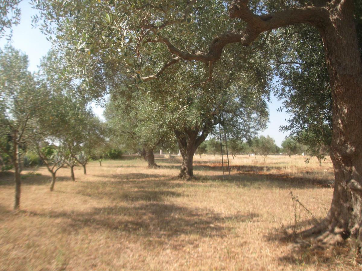 Fenicepugliese San Vito dei Normanni Exteriör bild